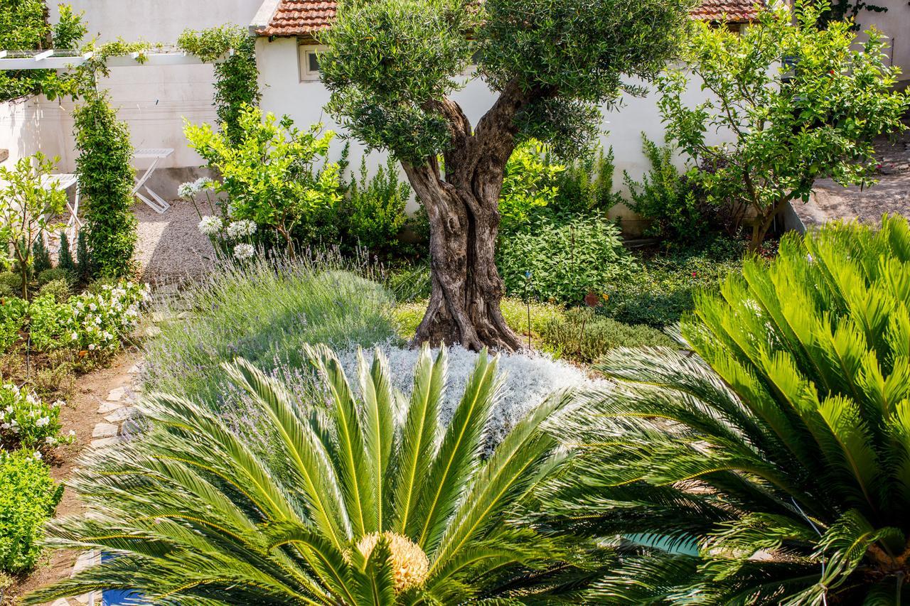 Reggine Holiday Apartments Sant'Agnello Ngoại thất bức ảnh