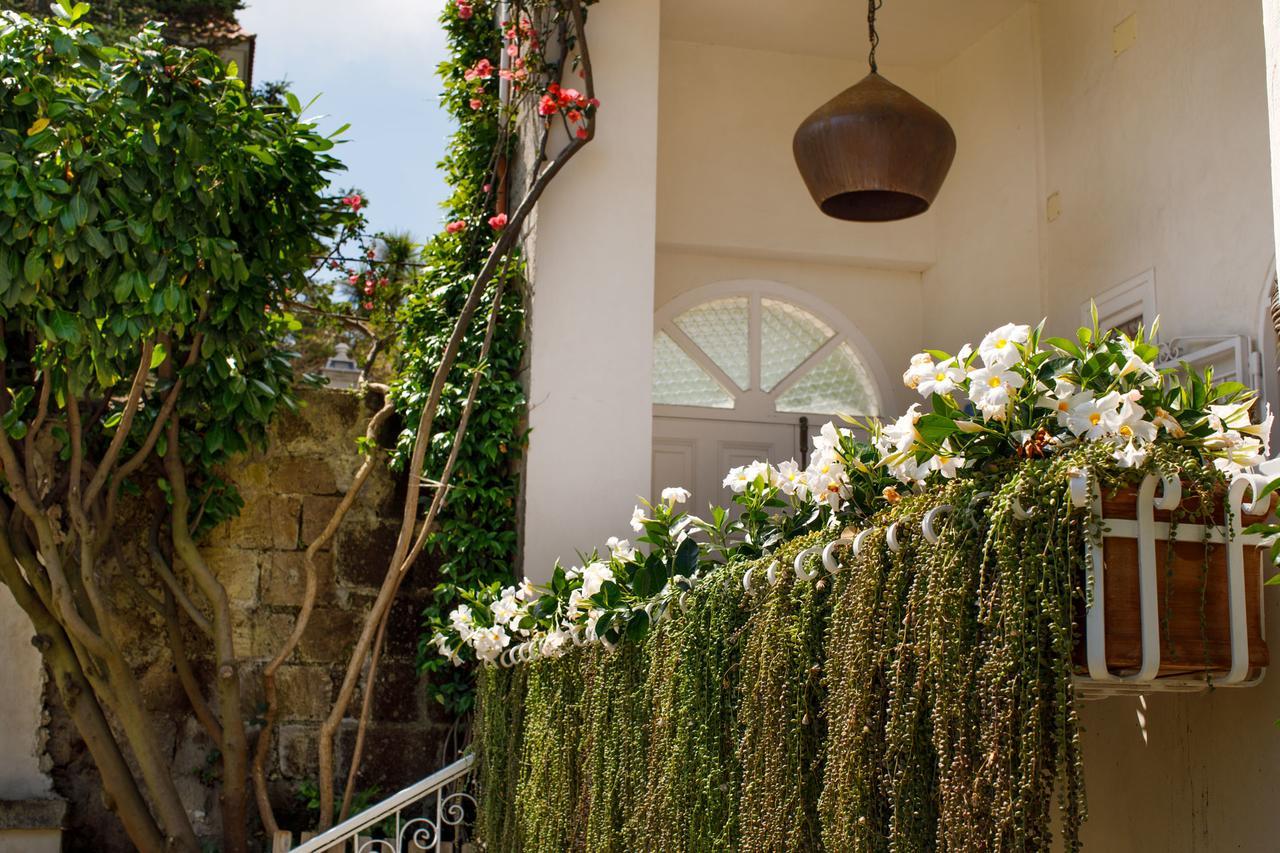 Reggine Holiday Apartments Sant'Agnello Ngoại thất bức ảnh