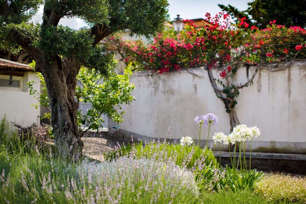 Reggine Holiday Apartments Sant'Agnello Ngoại thất bức ảnh